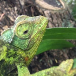 Meet your Posher, Jeff